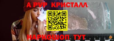 мдпв Кингисепп