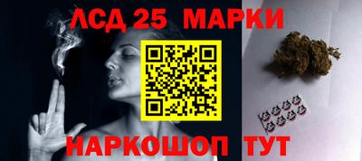 мдпв Кингисепп