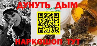 мдпв Кингисепп