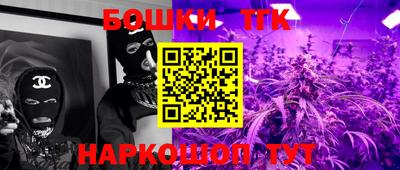 мдпв Кингисепп