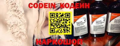 мдпв Кингисепп